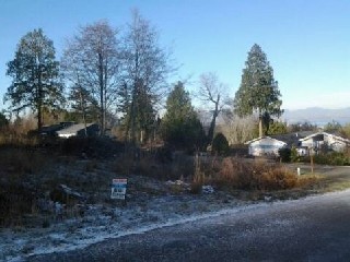 Picture of Point Roberts Parcel Number 415335-489036